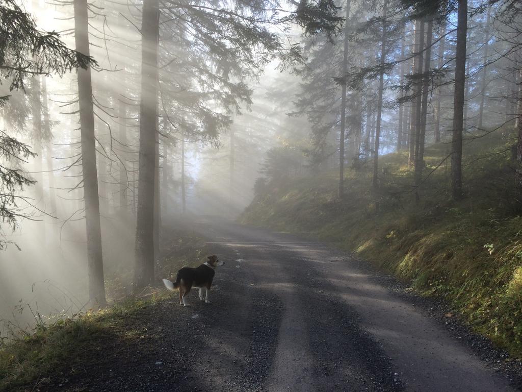 Appartamento Haus Waldrast Elbigenalp Esterno foto