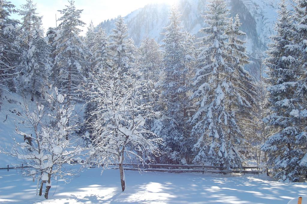 Appartamento Haus Waldrast Elbigenalp Esterno foto